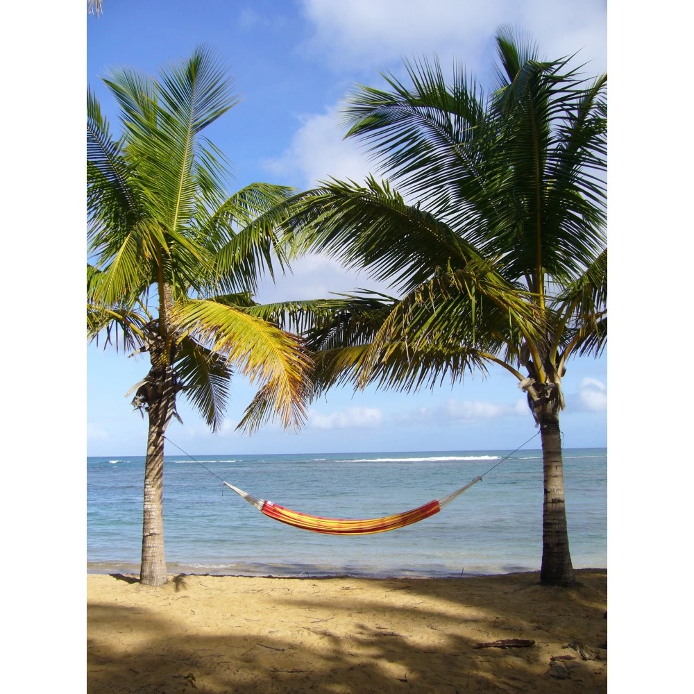 Amazonas Barbados Papaya Hængekøje (orange) 4 Amazonas Barbados Papaya Hængekøje (orange) - Billede 2