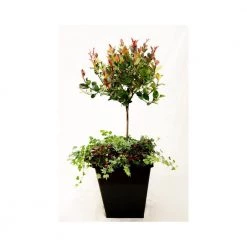 Homeshop ABC Planter 1 – Selvvandingskrukke - Kapillærkasse Genbrugsplast 14 Homeshop ABC Planter 1 – Selvvandingskrukke - Kapillærkasse Genbrugsplast -Tilbud homeshop Butik unnamed file 1669