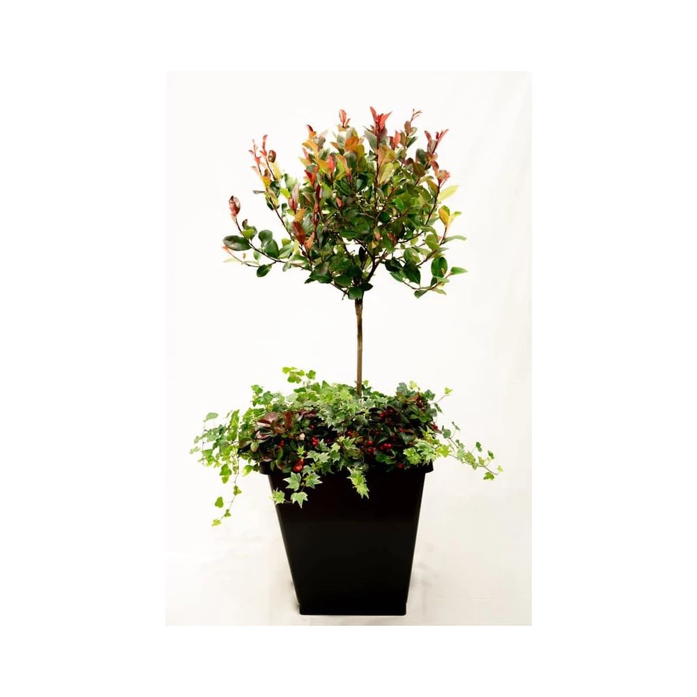 Homeshop ABC Planter 1 – Selvvandingskrukke - Kapillærkasse Genbrugsplast 6 Homeshop ABC Planter 1 – Selvvandingskrukke - Kapillærkasse Genbrugsplast - Billede 4