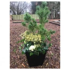 Homeshop ABC Planter 1 – Selvvandingskrukke - Kapillærkasse Genbrugsplast 15 Homeshop ABC Planter 1 – Selvvandingskrukke - Kapillærkasse Genbrugsplast -Tilbud homeshop Butik unnamed file 1670