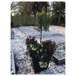 Homeshop ABC Planter 1 – Selvvandingskrukke - Kapillærkasse Genbrugsplast 16 Homeshop ABC Planter 1 – Selvvandingskrukke - Kapillærkasse Genbrugsplast -Tilbud homeshop Butik unnamed file 1671