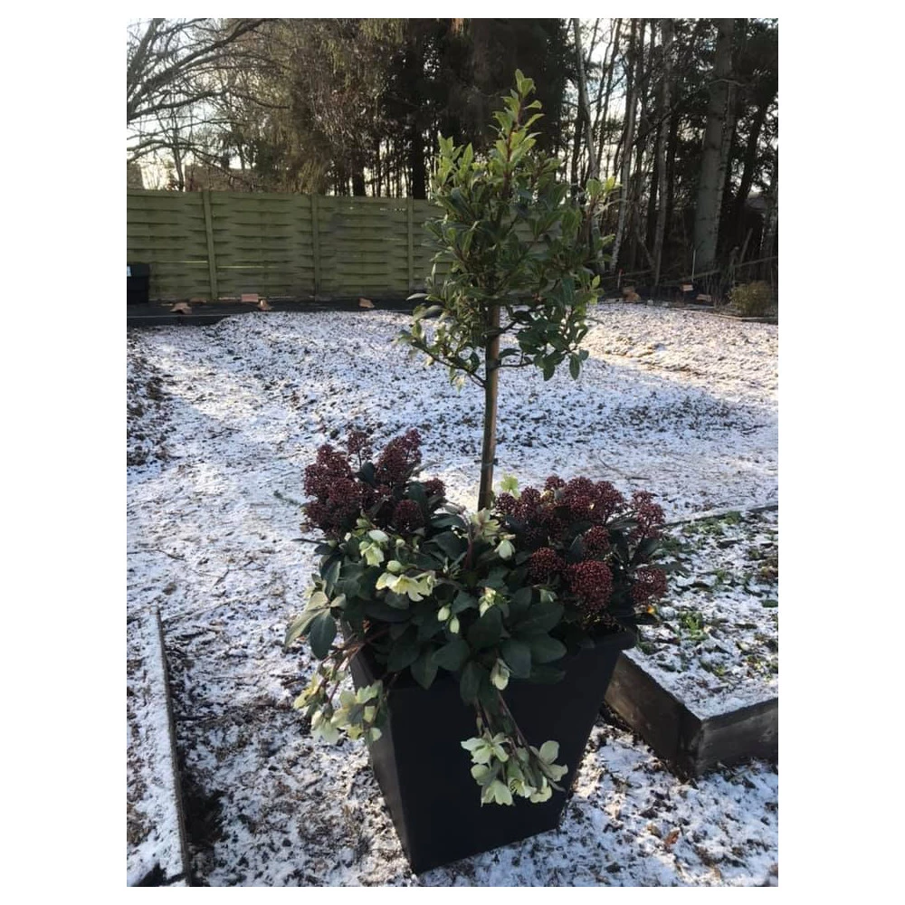 Homeshop ABC Planter 1 – Selvvandingskrukke - Kapillærkasse Genbrugsplast 8 Homeshop ABC Planter 1 – Selvvandingskrukke - Kapillærkasse Genbrugsplast - Billede 6